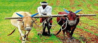 రైతుబంధు ఆపిన పాపం కాంగ్రెస్‌దేనా?